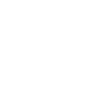 Woodz Design Webdesign Video Veaudeville Marketing